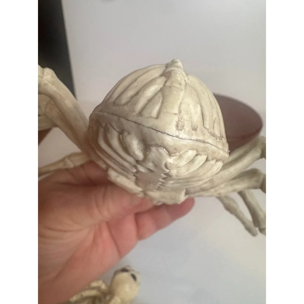 Halloween Skeleton‎ Spider Lot of 4 Creepy Skeleton Spiders Spooky Decor